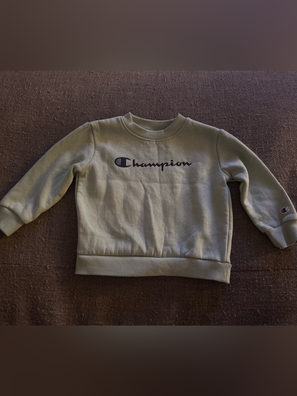 Champion Kids Sage Green Logo Crewneck Sweatshirt